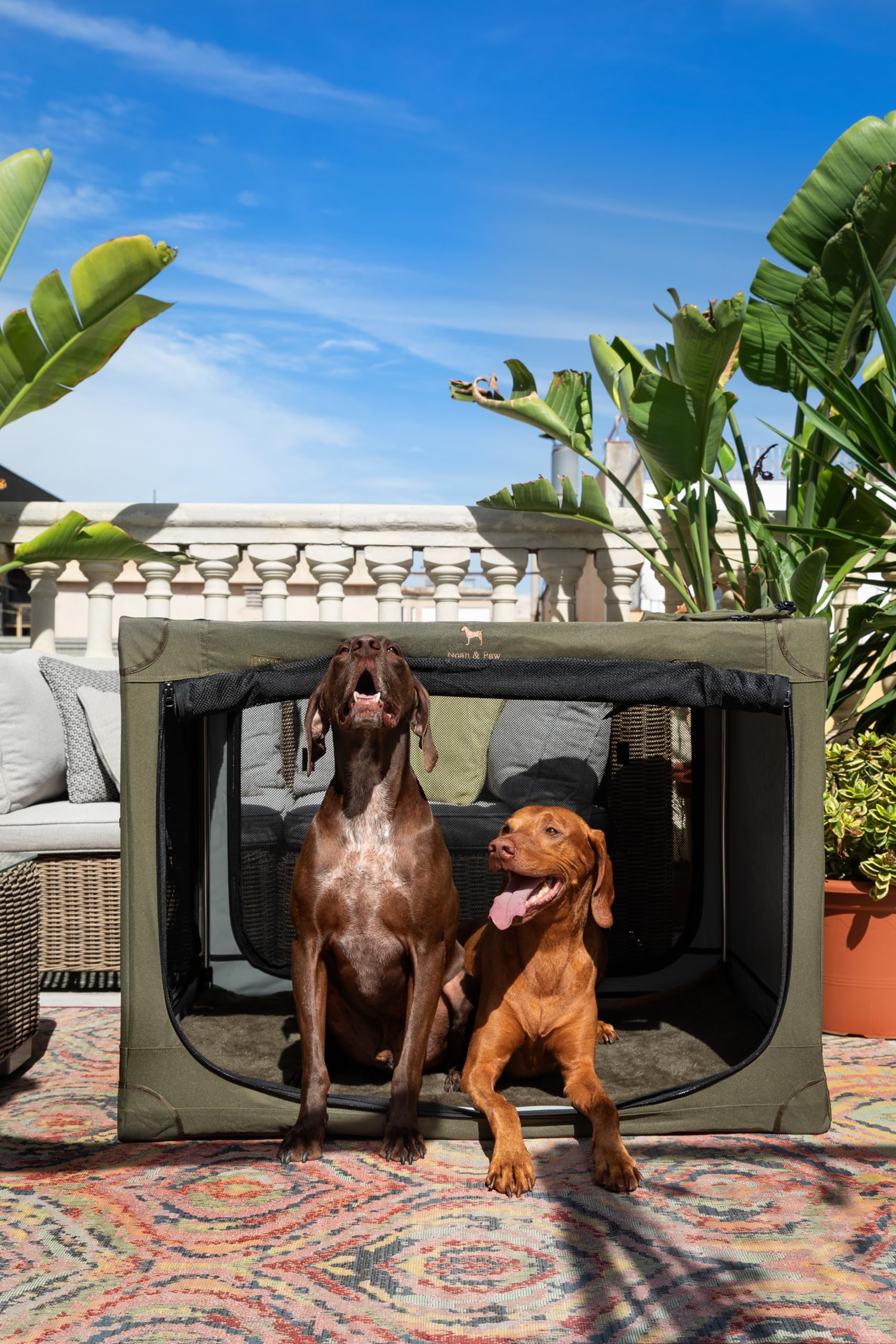 Noah & Paw crate with stainless steel frame highlights strength on the road.