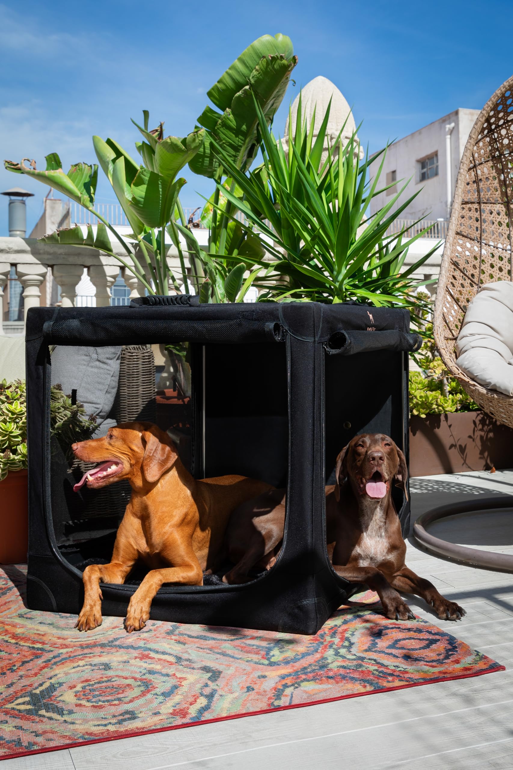 Noah & Paw 42-inch crate dimensions for XXL to large breeds.