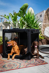 Noah & Paw 42-inch crate dimensions for XXL to large breeds.