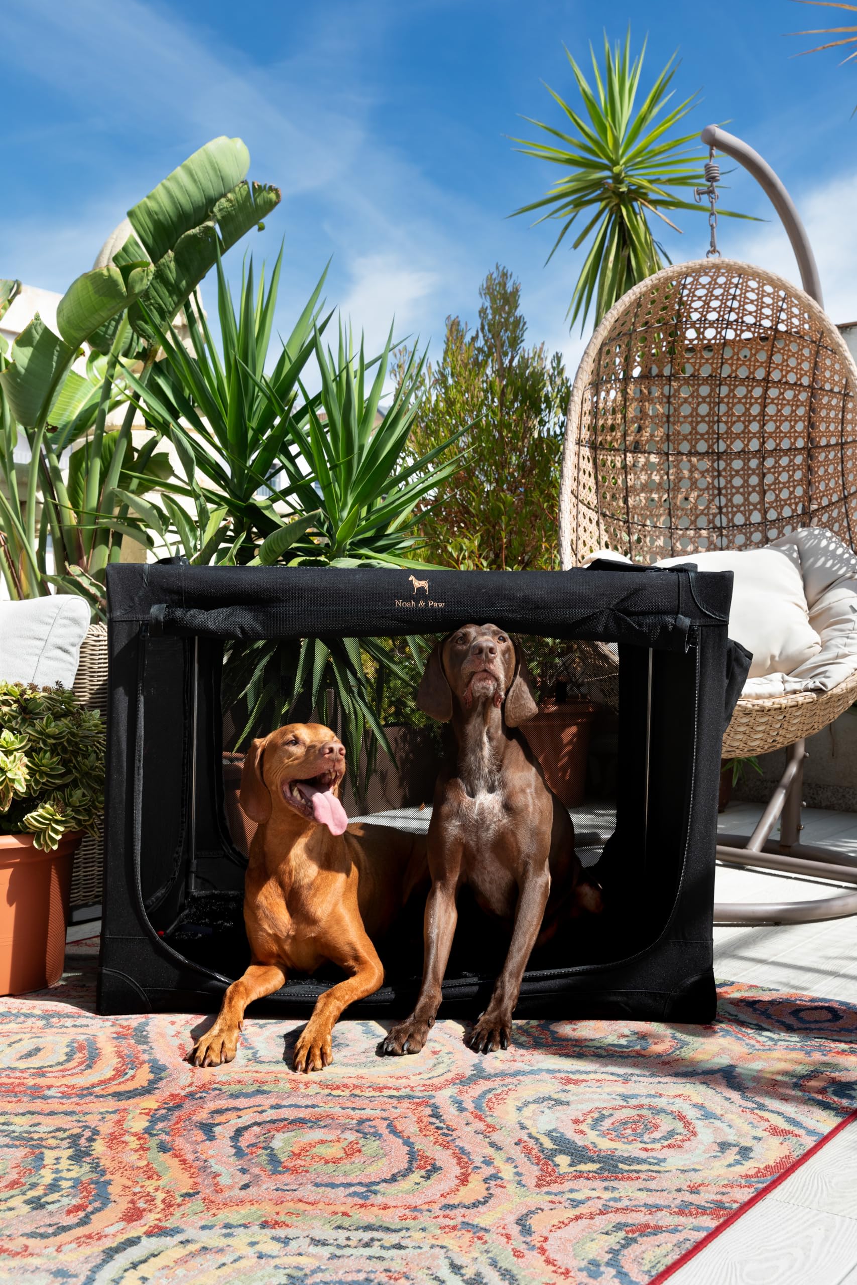 Noah & Paw collapsible crate folded for compact transport.