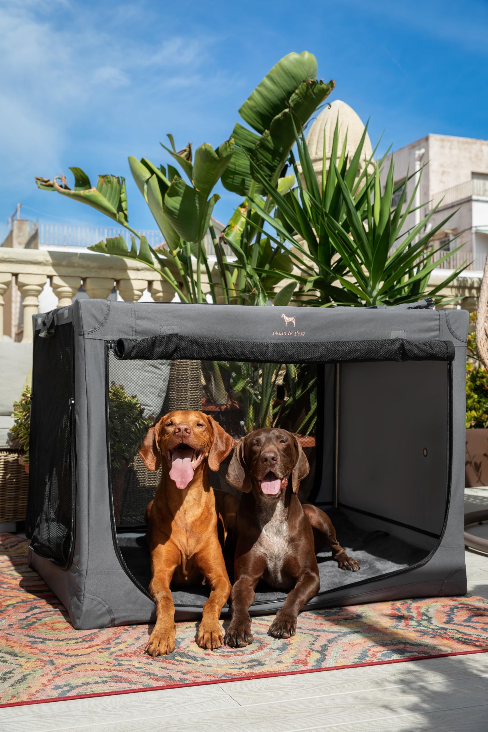 Noah & Paw collapsible dog crate side view highlights sturdy construction for car trips
