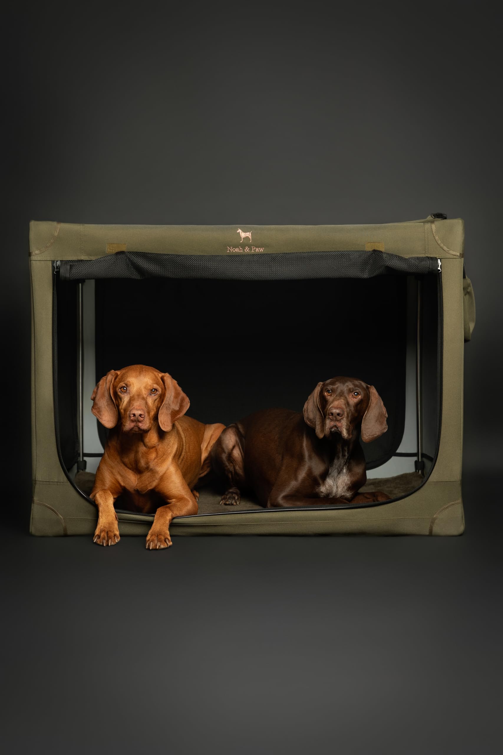 Noah & Paw collapsible dog crate removable cover and mattress for easy cleaning.