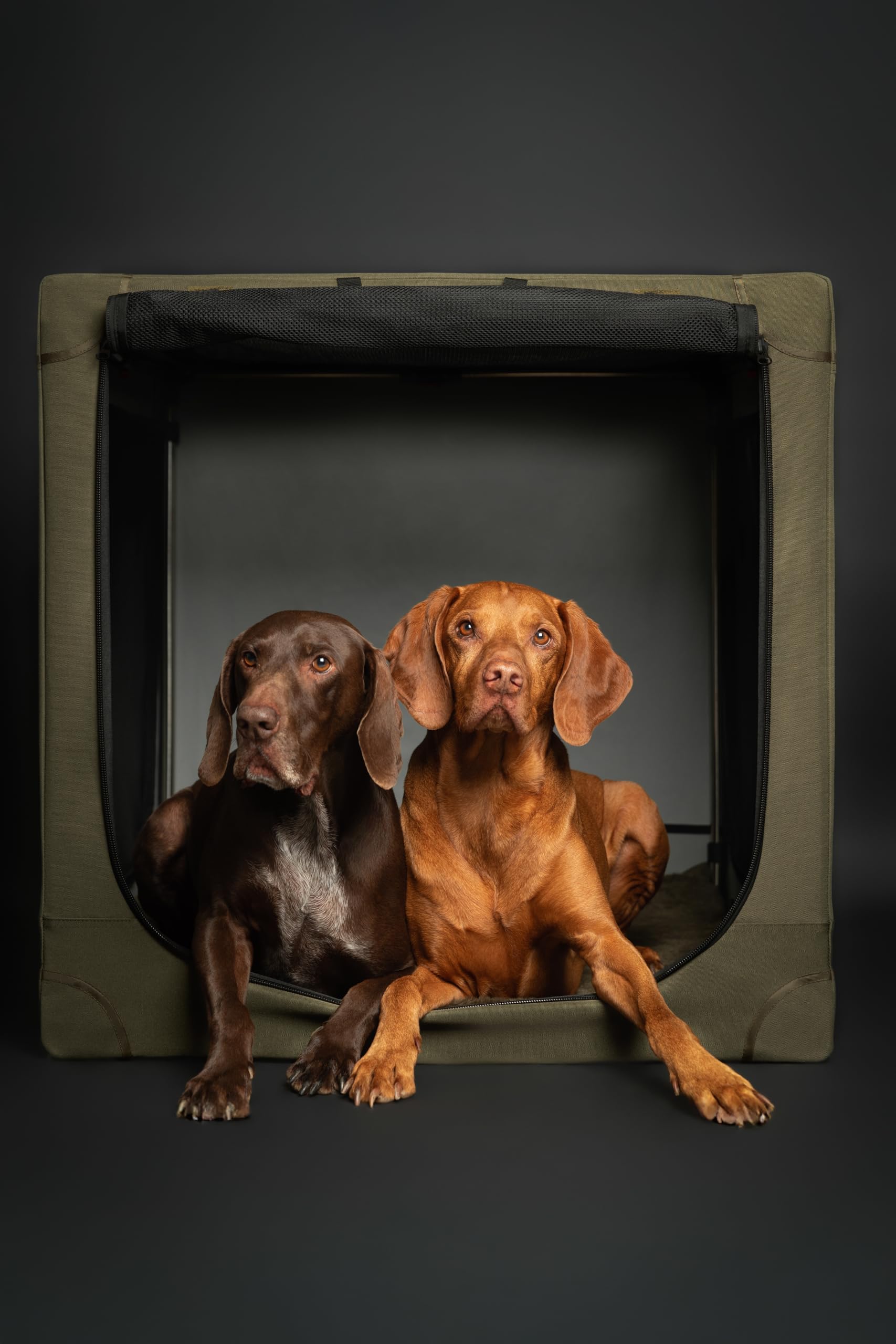 Noah & Paw collapsible dog crate folded compact for space saving.