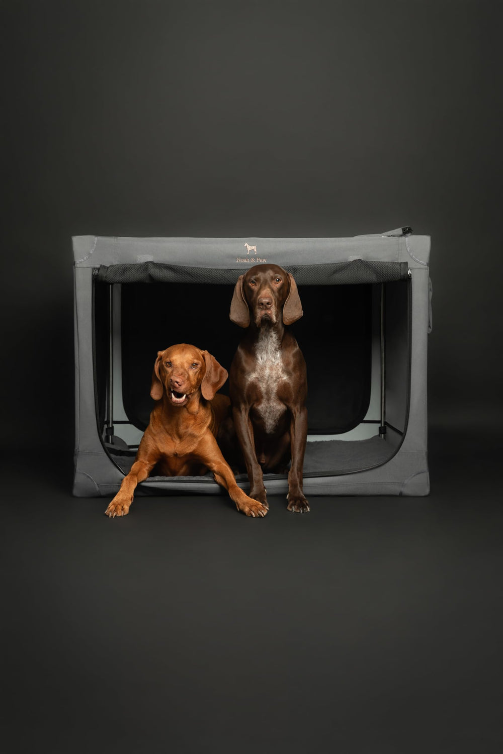 Noah & Paw handbag-carry design offers easy transport and quick setup