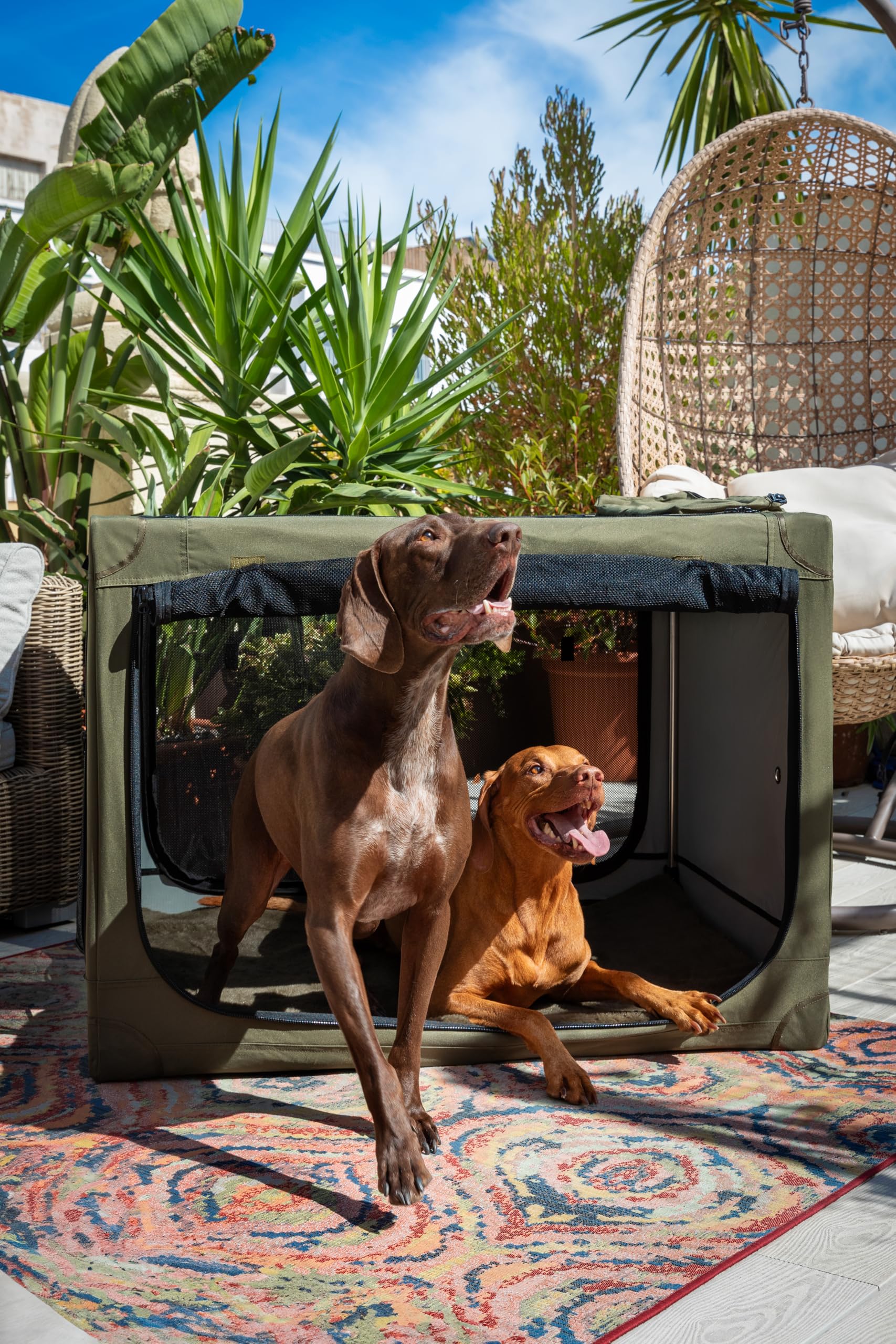 Noah & Paw collapsible dog crate locking zippers for secure travel.