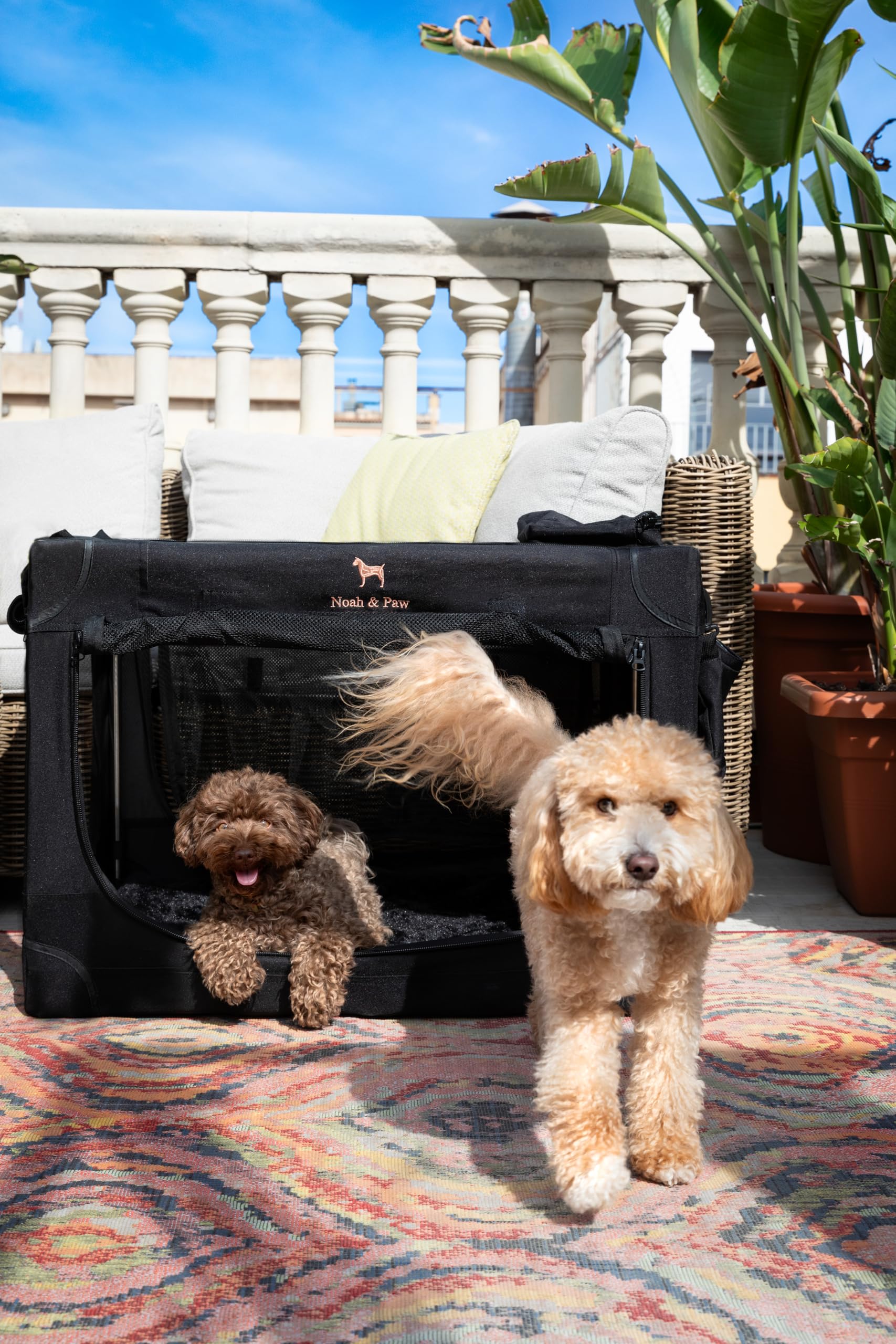 Noah & Paw crate open ready for easy pet loading during trips