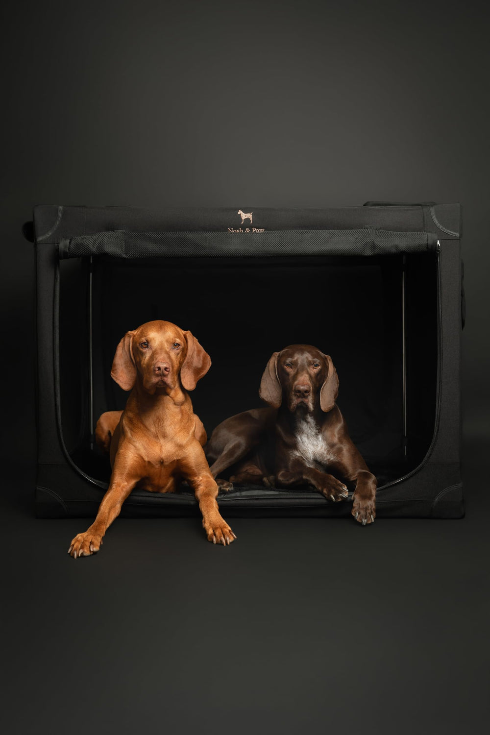 Noah & Paw removable cover and mattress for easy washing.