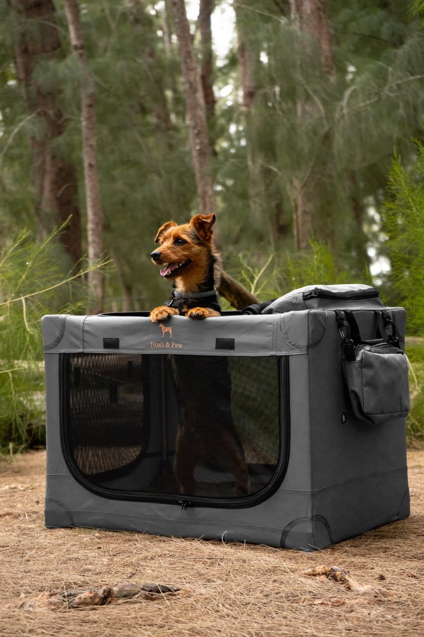 Noah & Paw travel pockets image shows convenient storage during trips