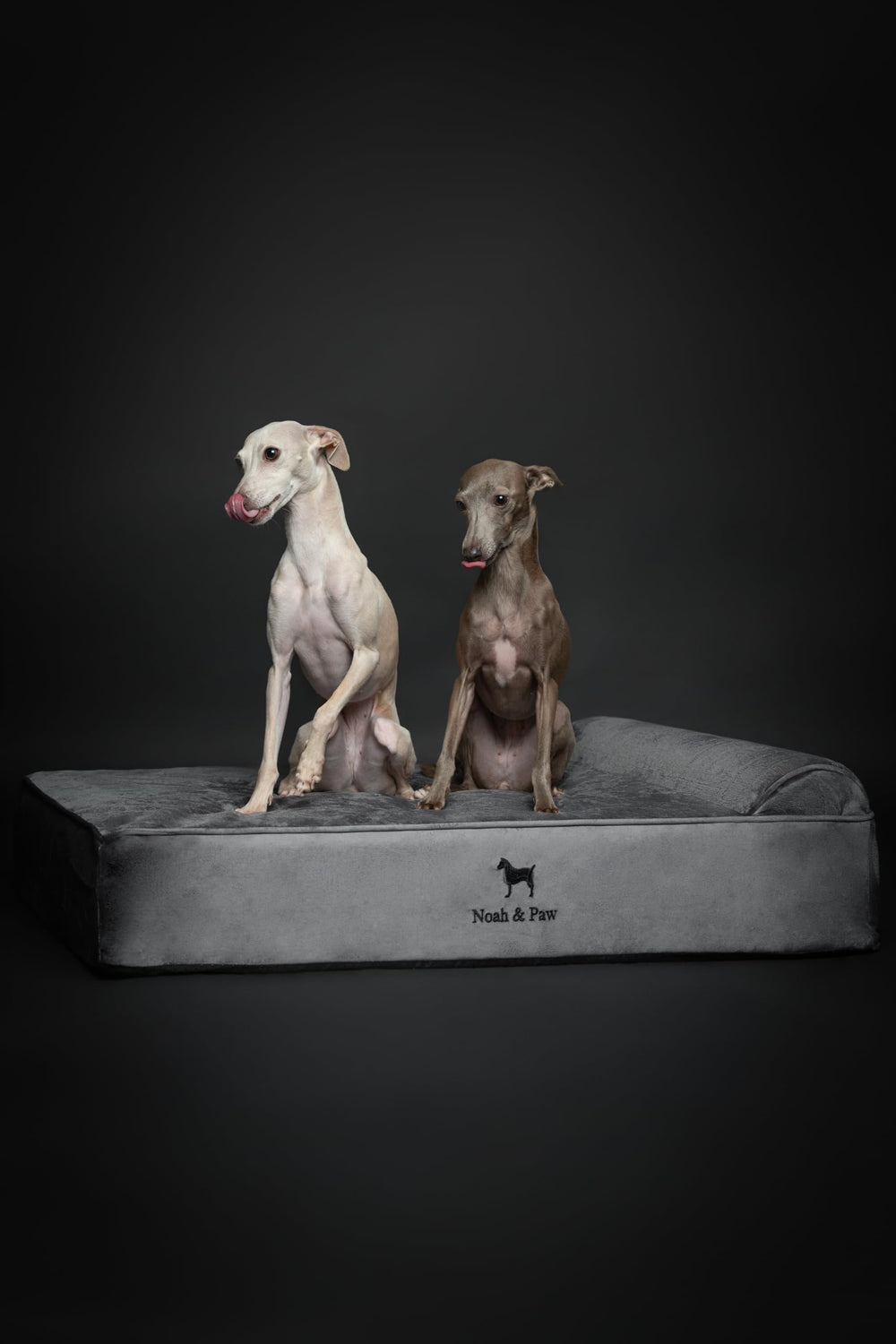 NOAH & PAW bed dimensions 35x25x8.7 inches suitable for large breeds
