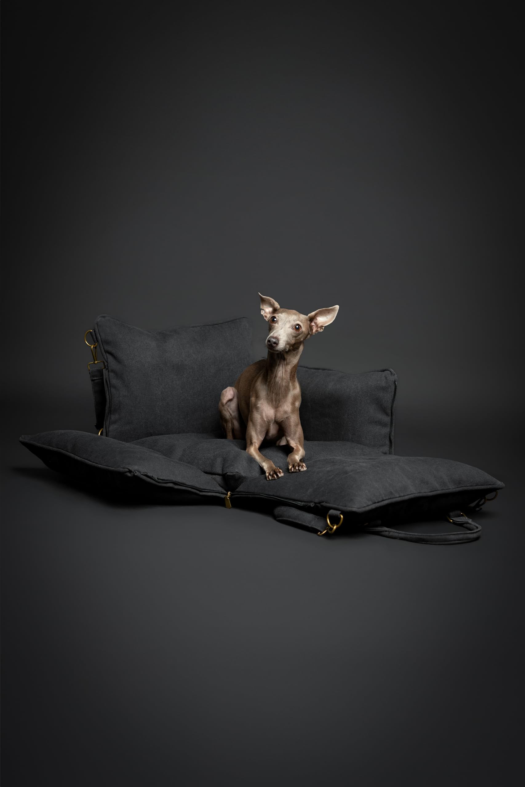 Noah & Paw dog car seat interior with memory foam comfort