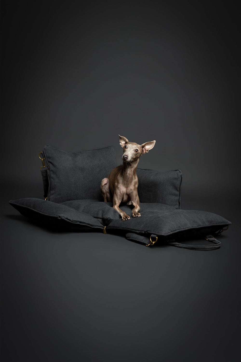 Noah & Paw dog car seat interior with memory foam comfort