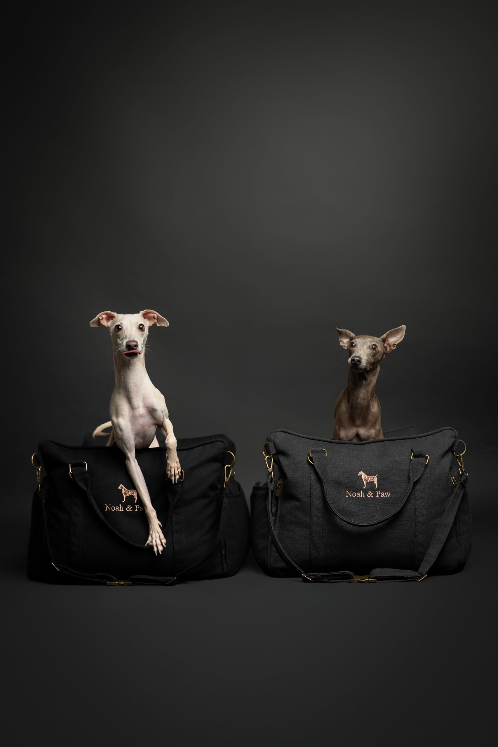 Noah & Paw car seat includes sturdy handles for easy transport