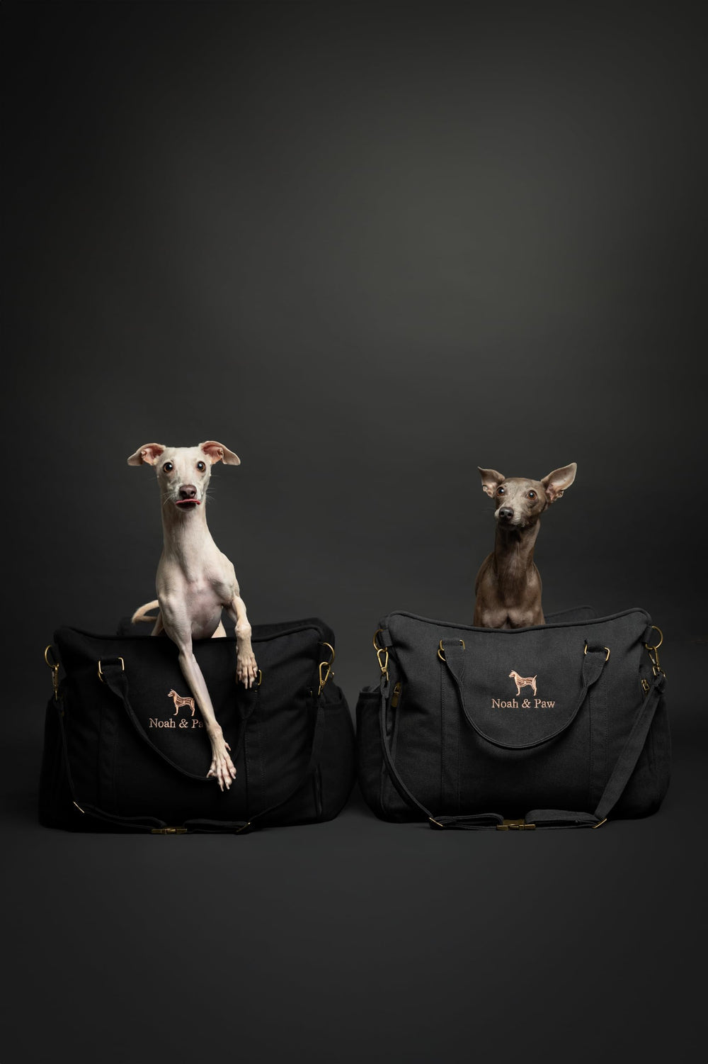 Noah & Paw car seat includes sturdy handles for easy transport