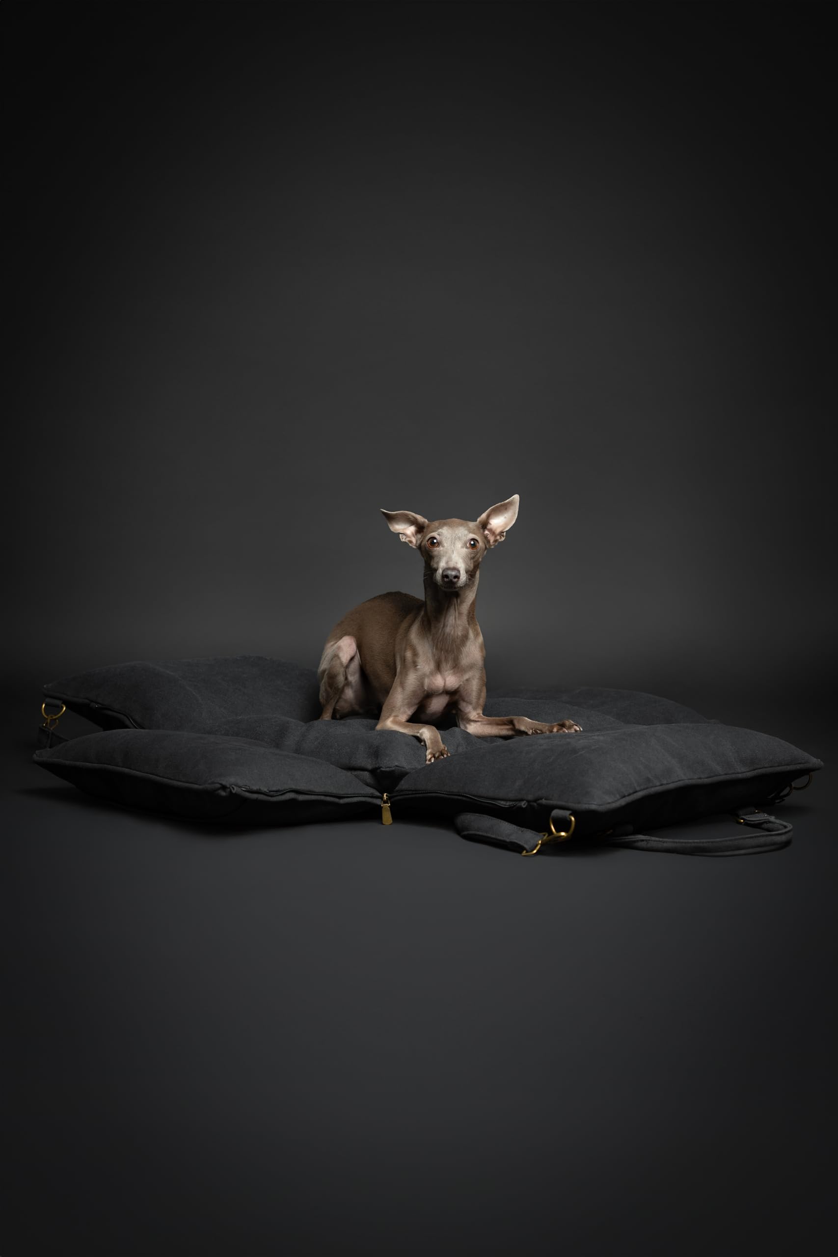 Noah & Paw car seat cover is removable and washable