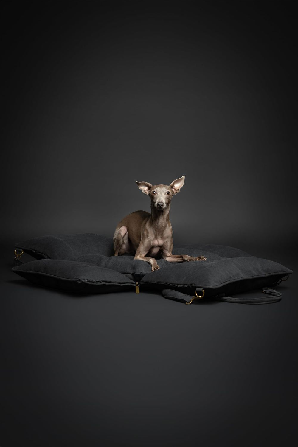 Noah & Paw car seat cover is removable and washable