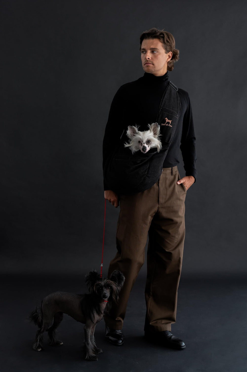 Noah & Paw dog sling denim-front-view shows easy access and comfortable wearing.