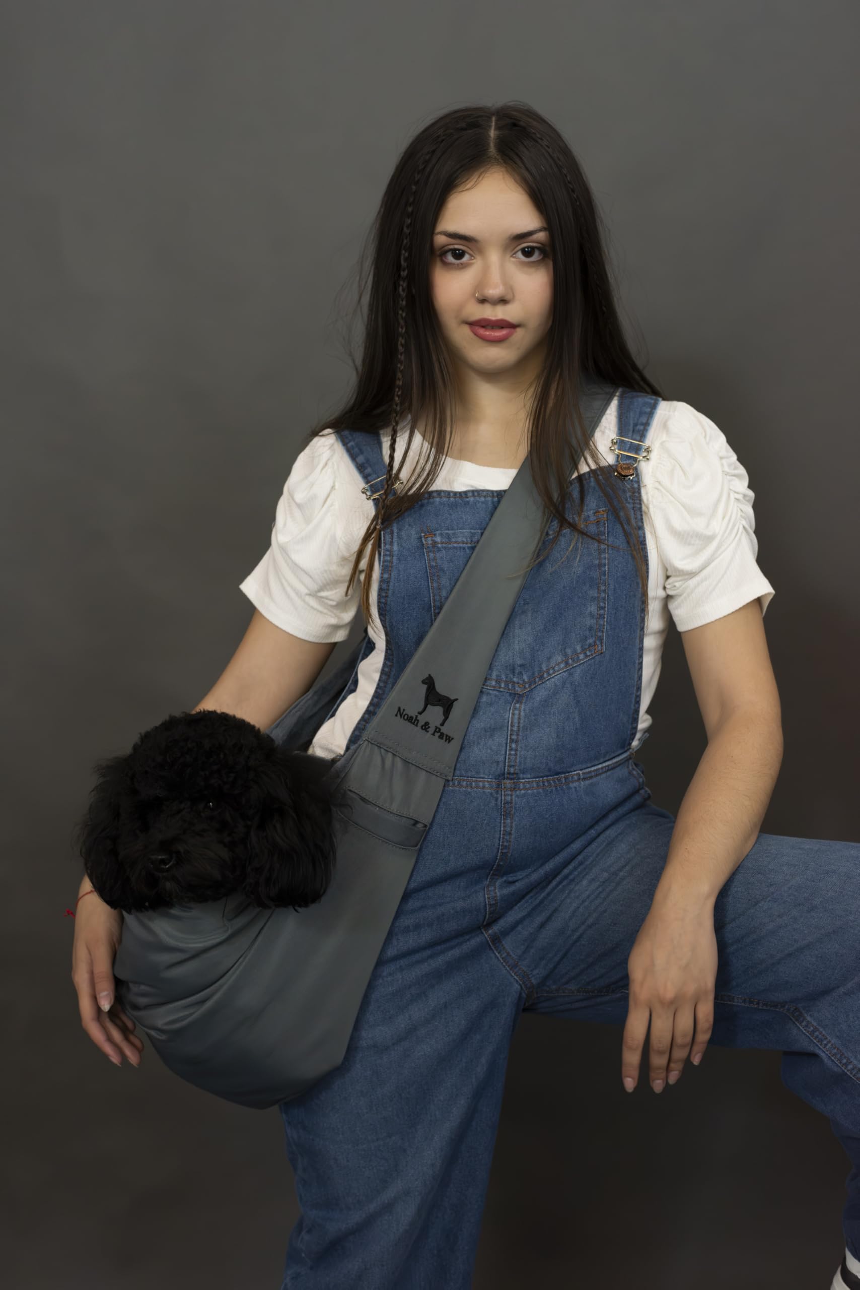 NOAH & PAW small dogs 5-18 lbs design supports compact pets securely.