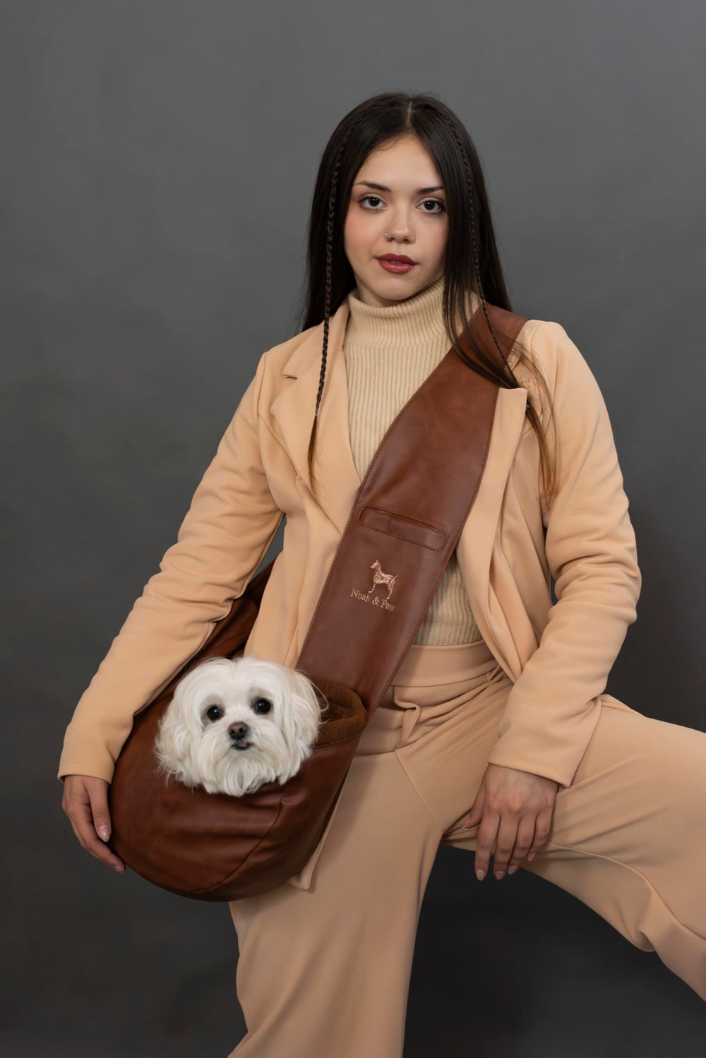 Noah & Paw interior view with pet inside highlights secure, breathable space.