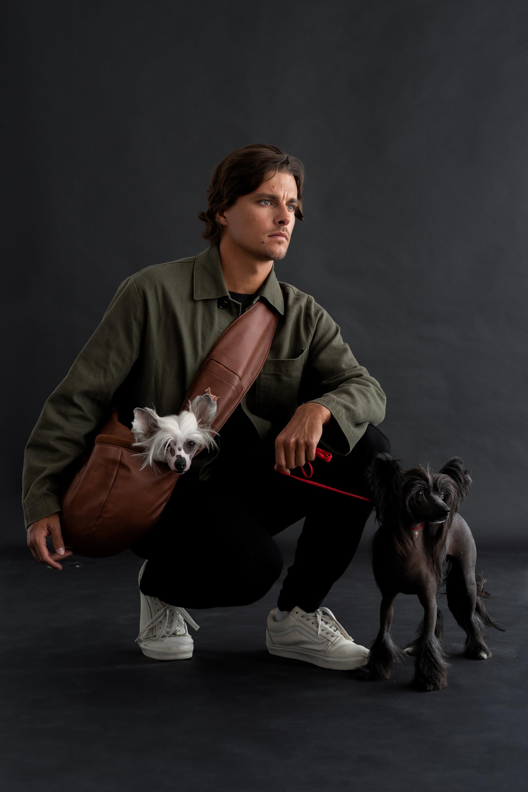 Noah & Paw safety features close-up highlights three-layer protection for small pets.