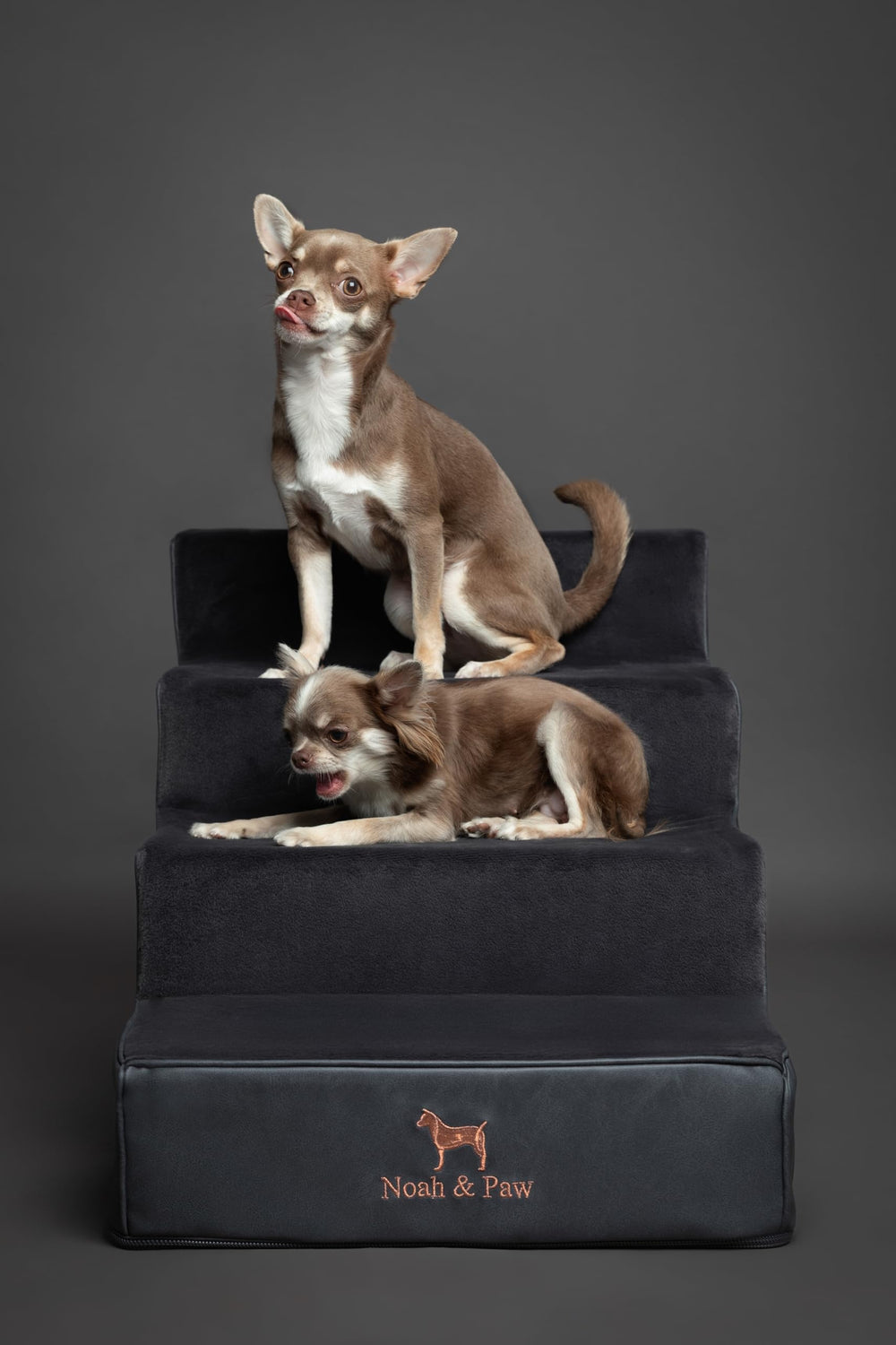 Noah & Paw dog stairs 17-inch-wide design highlights roomier space for larger breeds.