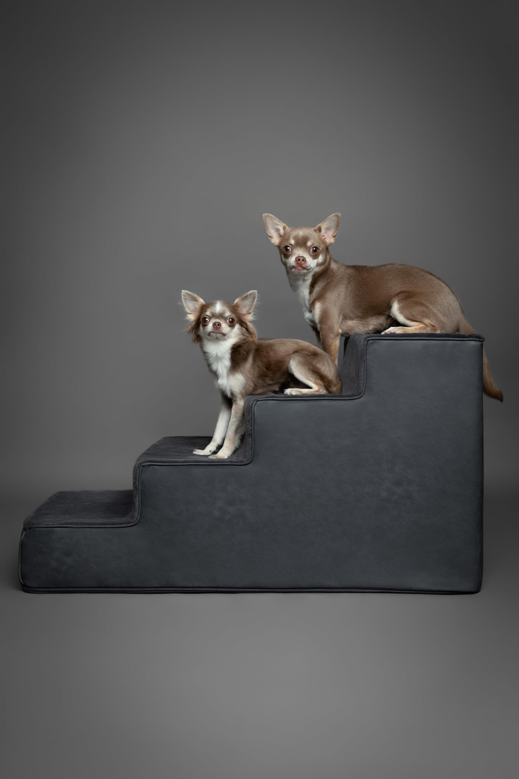Noah & Paw dog stairs 3-4-5-step options image shows versatile height choices.