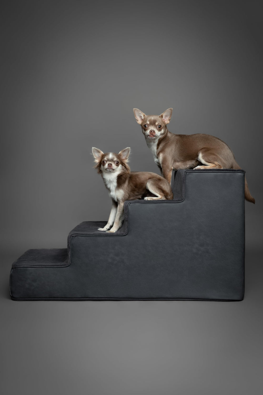Noah & Paw dog stairs 3-4-5-step options image shows versatile height choices.
