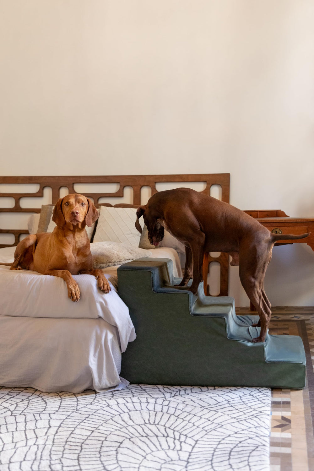 Noah & Paw dog stairs with 35 foam density supports safe, stable steps.