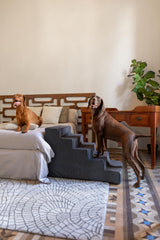 Noah & Paw dog stairs bed 20 wide front view shows stable design by the bed.