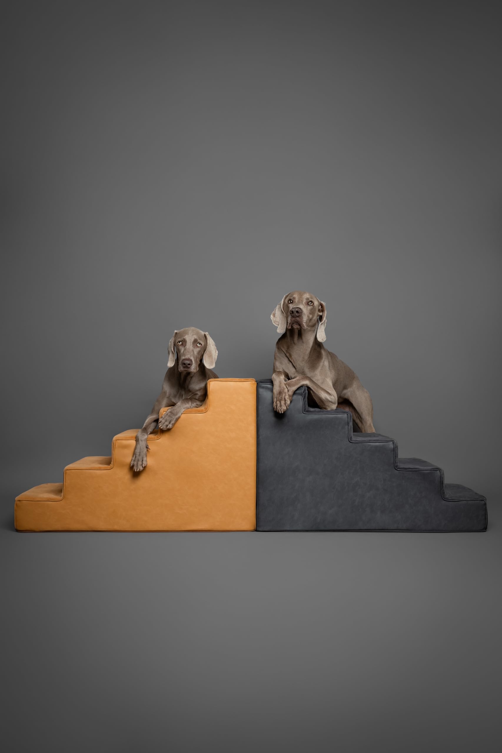 Noah & Paw five-step 20 inch wide stairs ideal for large breeds and high beds.