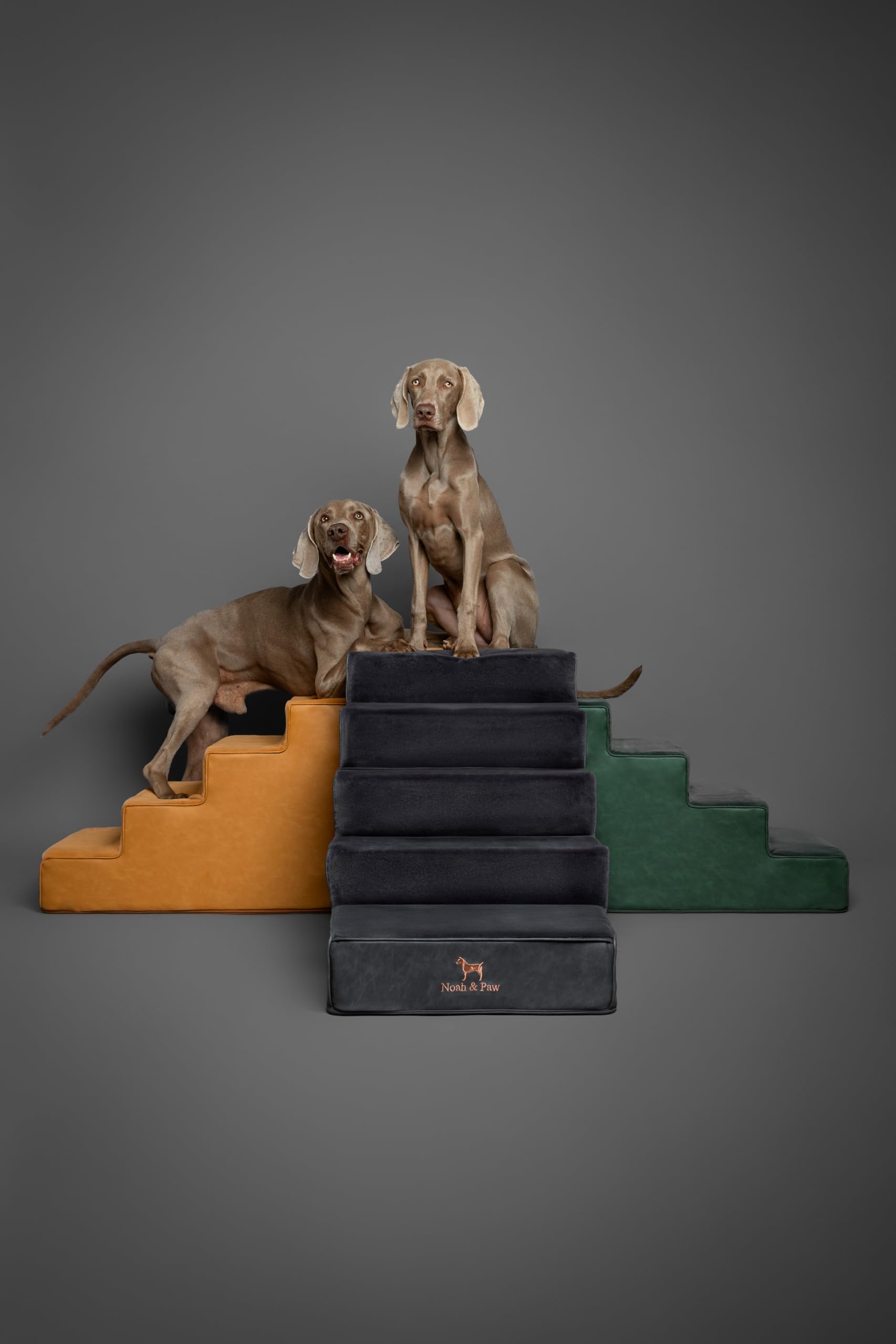 Noah & Paw four-step 17 inch wide stairs for middle-sized pets.