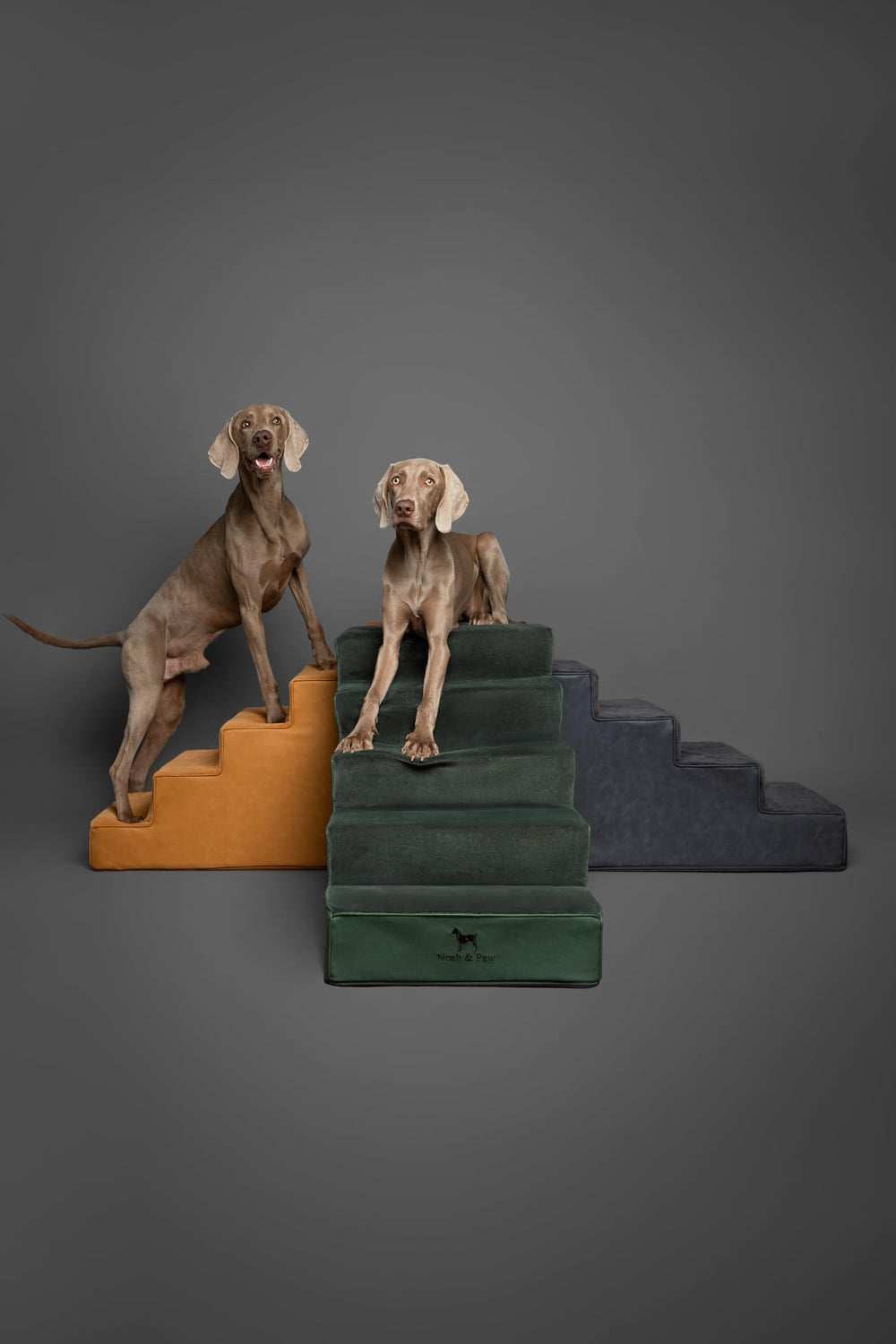 Noah & Paw leather collection blends with home décor and pet comfort.