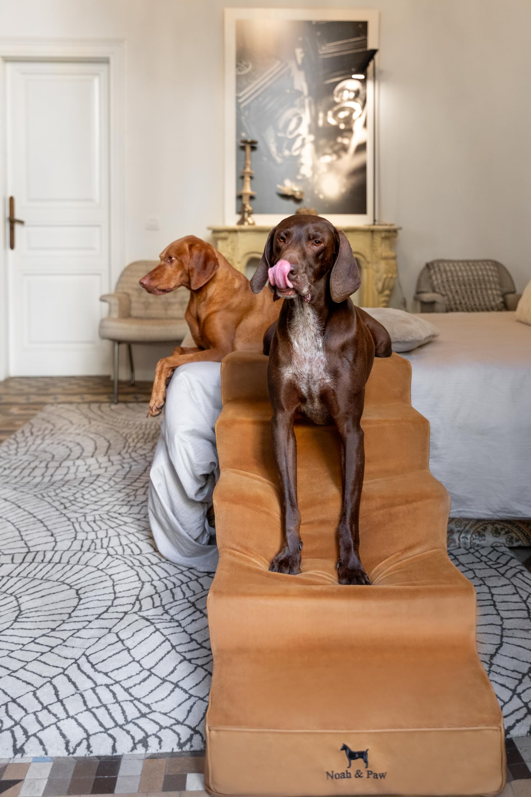 Noah & Paw dog stairs leather collection 20-inch wide design accommodates large breeds and tall furniture.