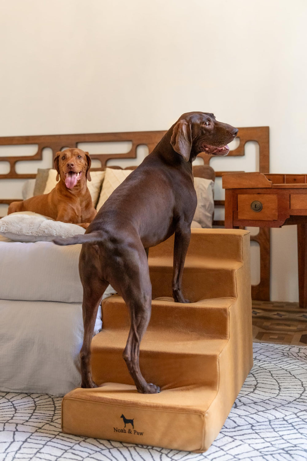 Noah & Paw dog stairs leather collection 3-4-5-step options fit various furniture heights.