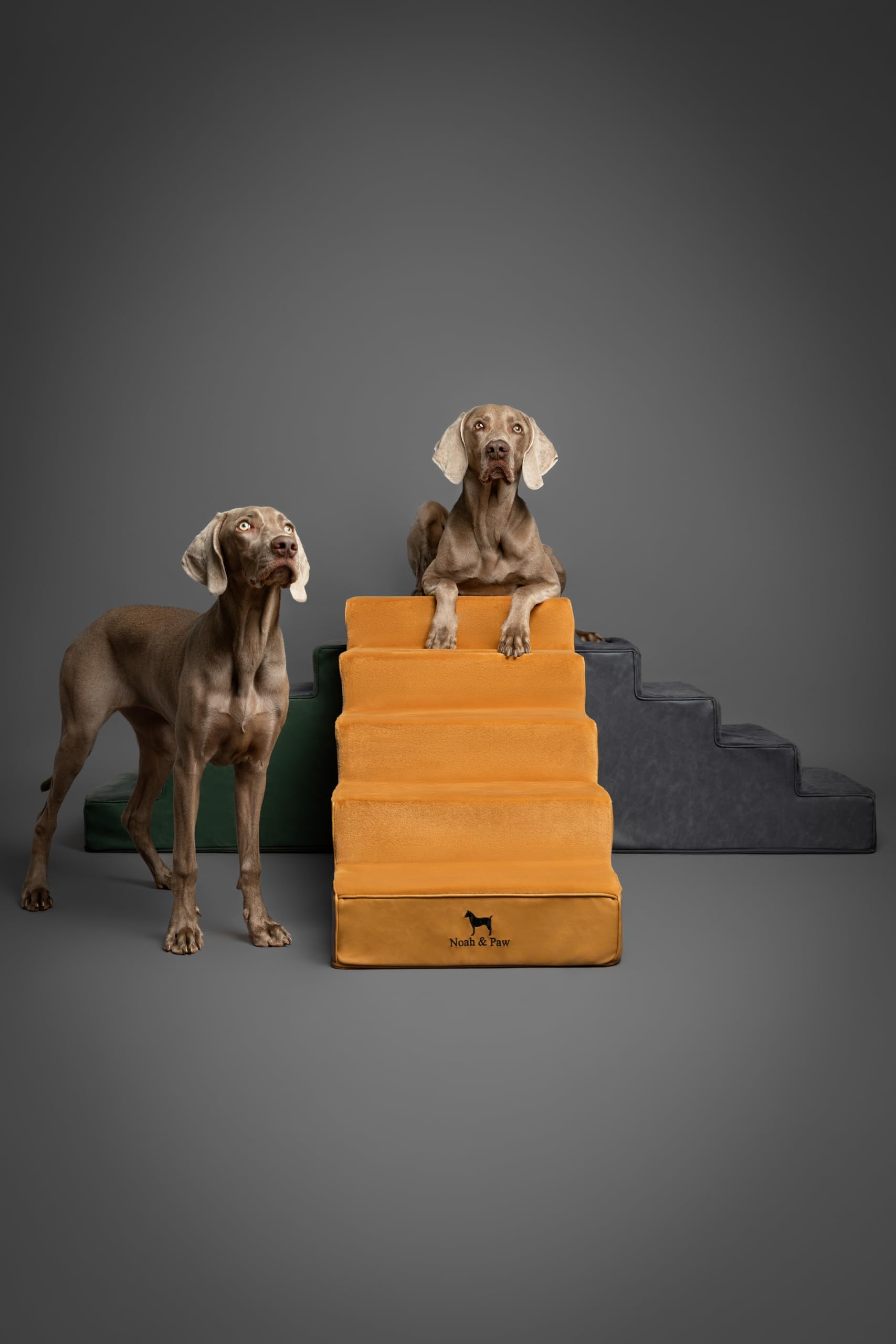 Noah & Paw dog stairs leather collection care instructions for easy maintenance.