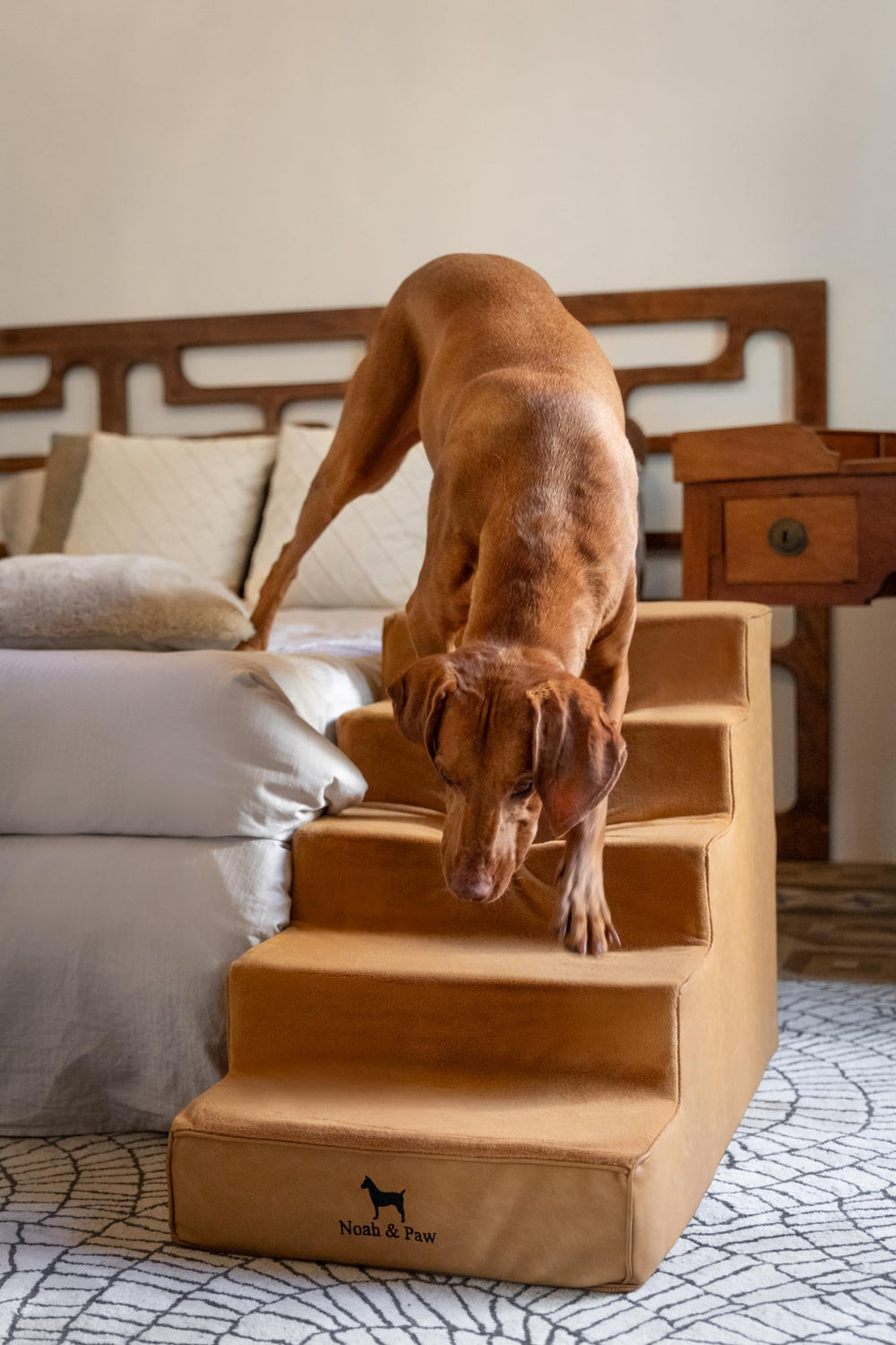 Noah & Paw dog stairs leather collection close-up reveals 35 foam density for durable support.
