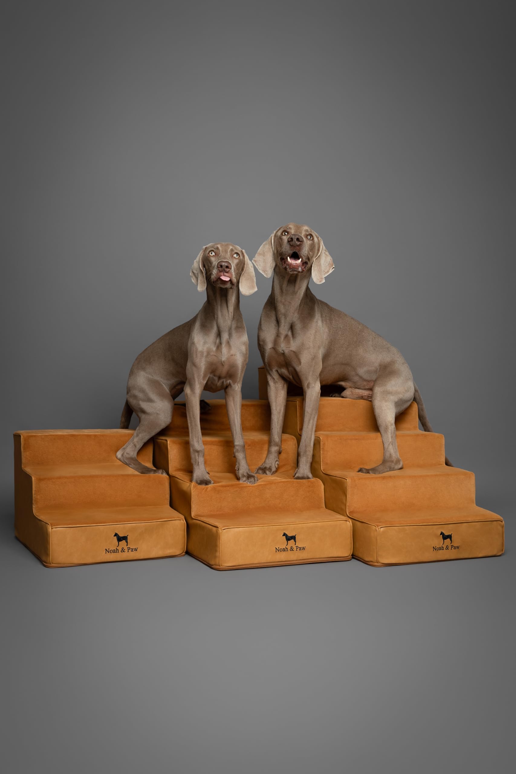 Noah & Paw dog stairs leather collection fits home decor across rooms and styles.