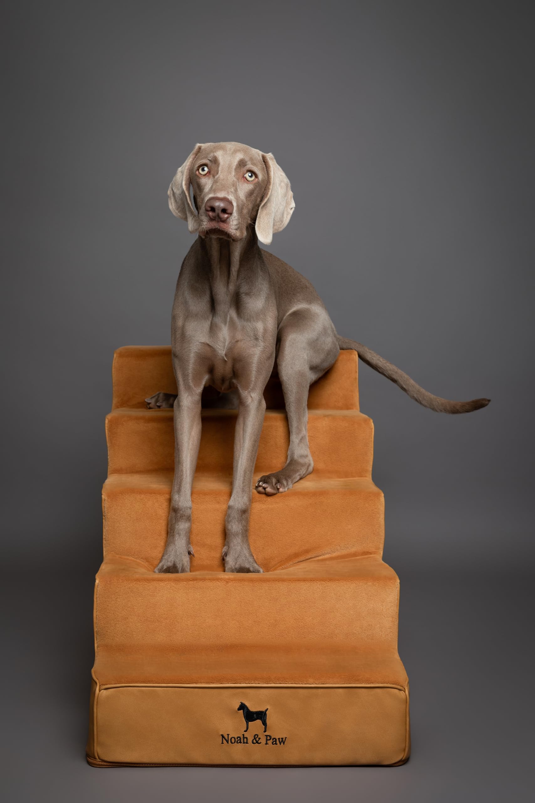 Noah & Paw dog stairs leather collection single-piece design simplifies setup.