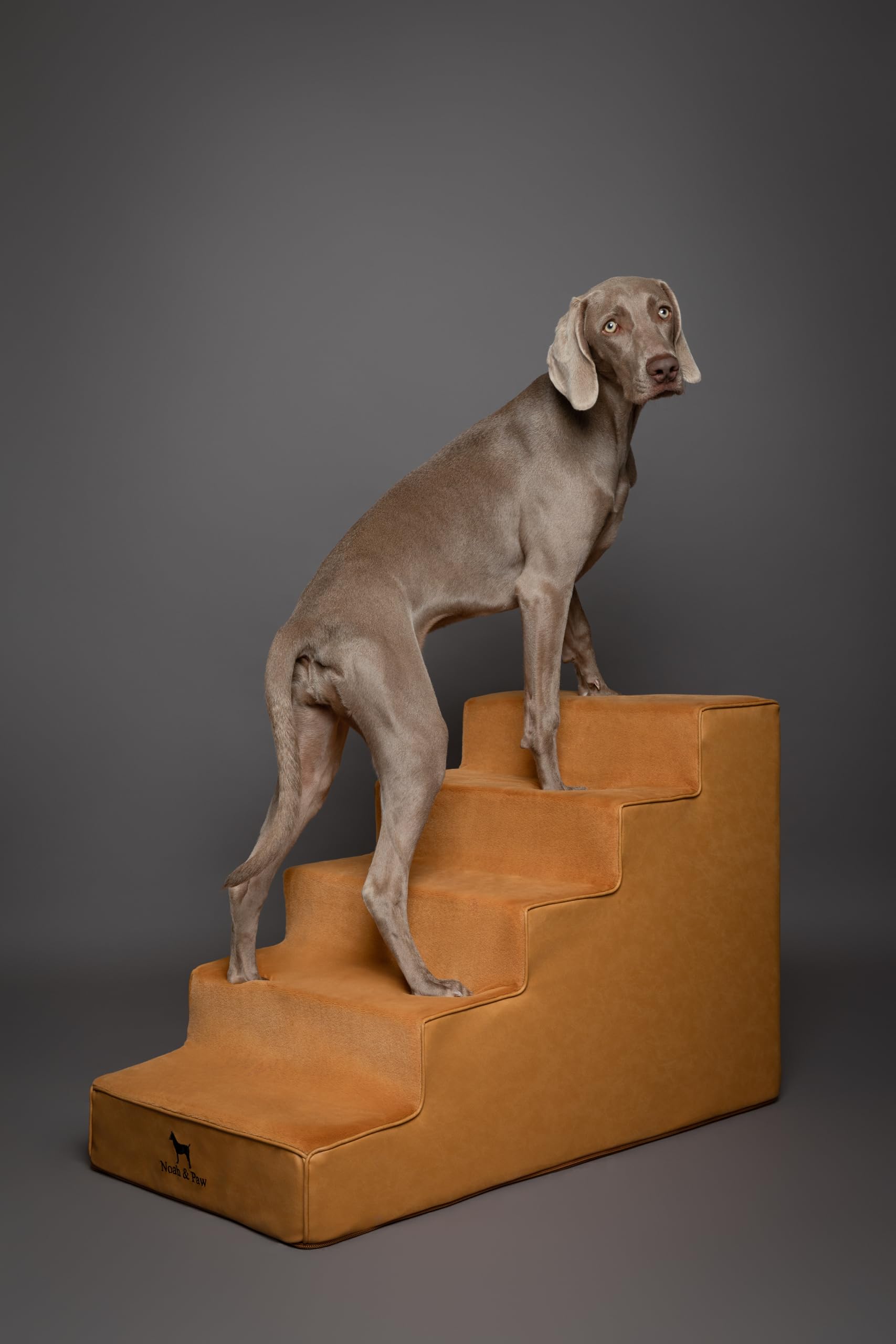 Noah & Paw dog stairs leather collection vegan leather and plush fabric blend with home decor.