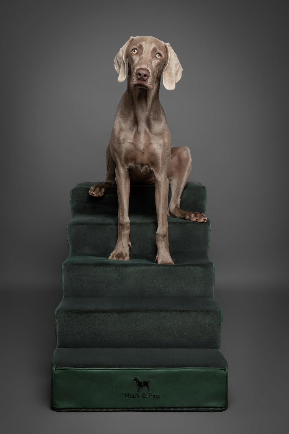 Noah & Paw one-piece dog stairs simplify setup for hassle-free use.