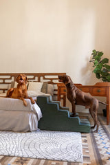 Noah & Paw dog stairs plush fabric detail enhances comfort on every climb.