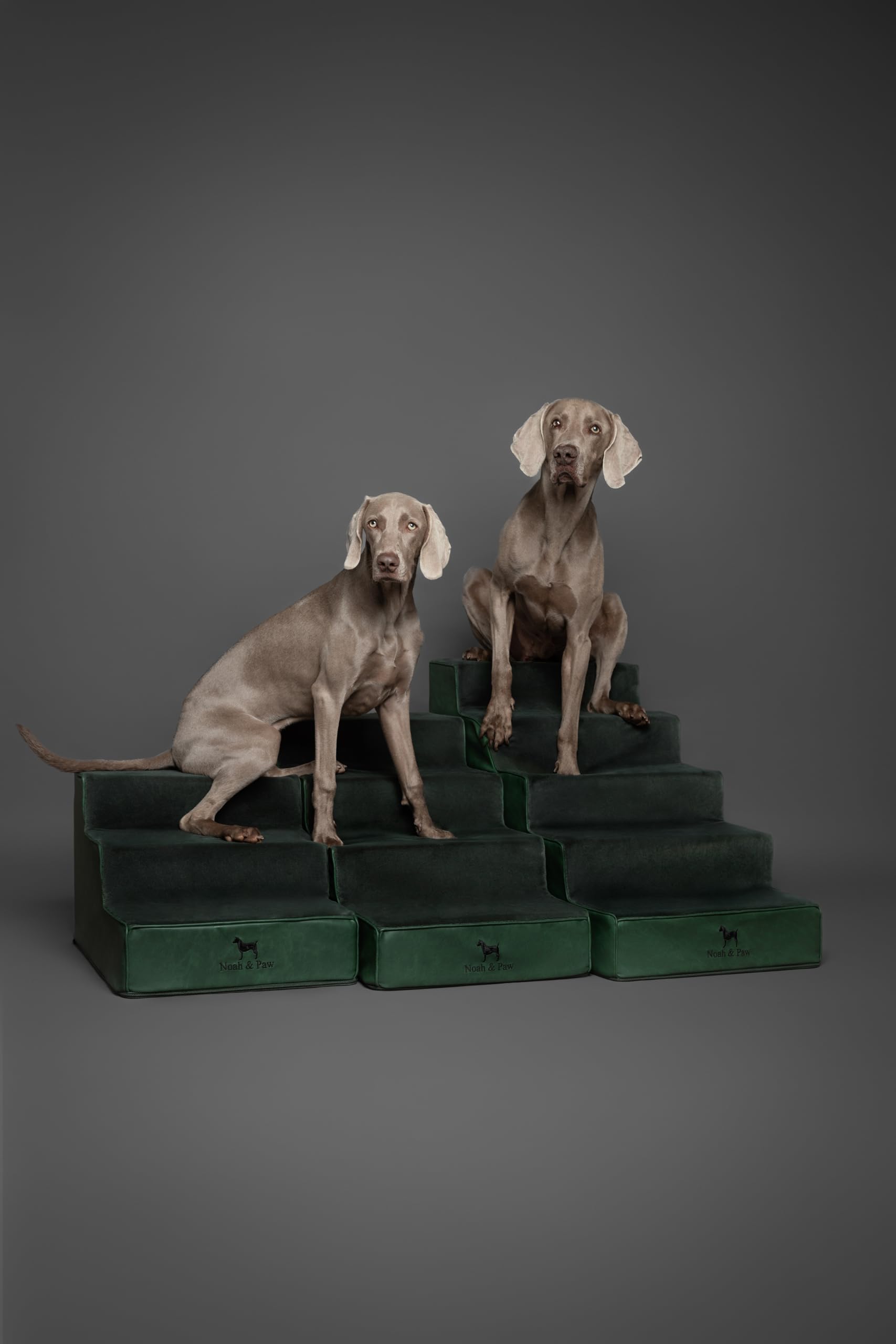 Noah & Paw stairs feature a 10mm zipper and removable cover for easy washing.