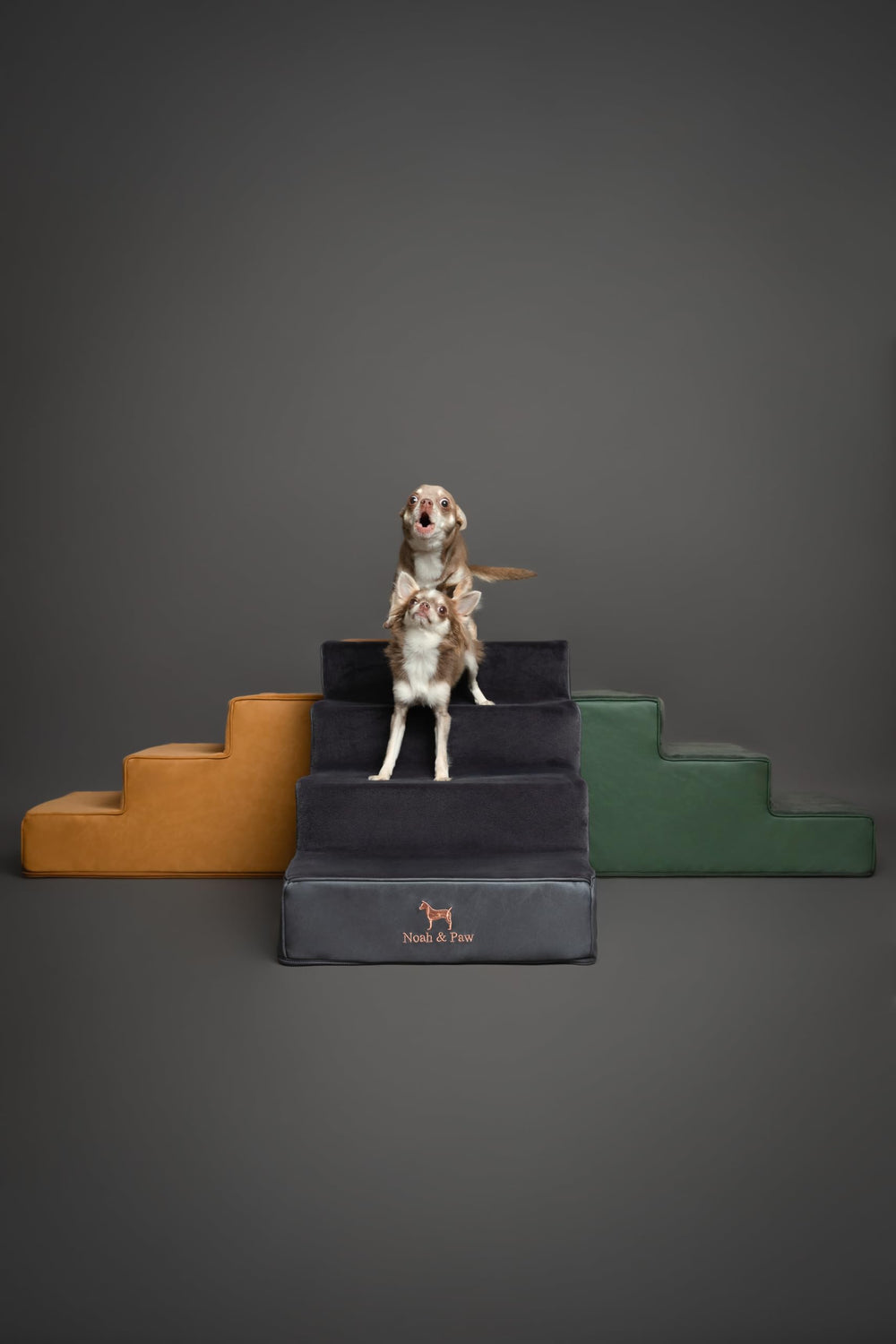 Noah & Paw dog stairs single-piece construction image emphasizes easy setup.