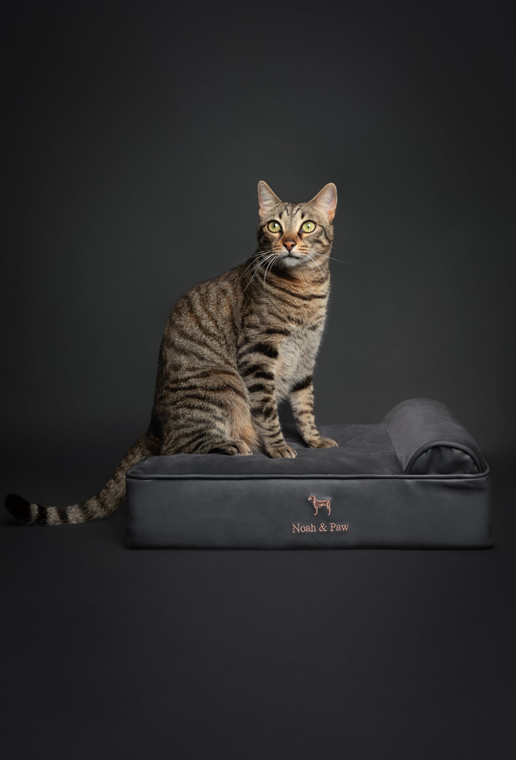 NOAH & PAW memory-foam cooling-gel layer provides temperature regulation and plush comfort
