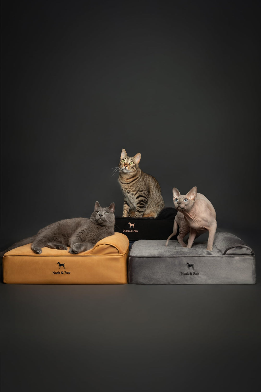 NOAH & PAW faux-leather surface bed offers durable, stylish indoor use