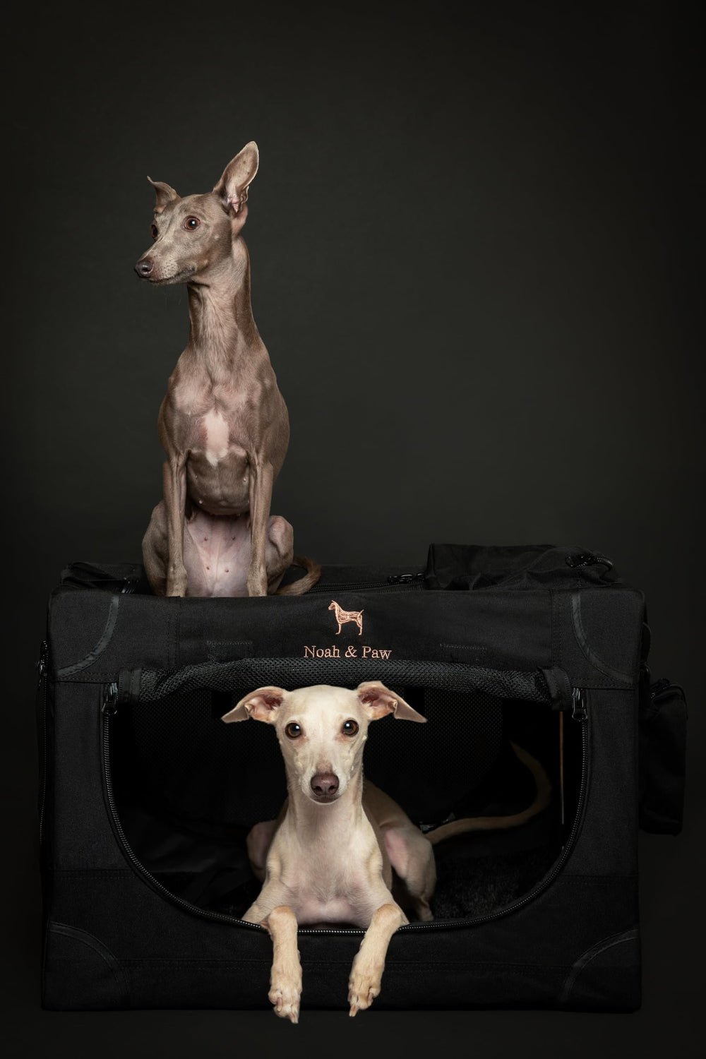Noah & Paw crate folds flat for compact storage.