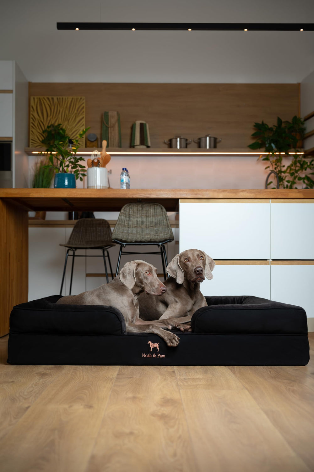 NOAH & PAW Giant Dog Bed XXL 55x45x11 inch dimensions shown for large breeds