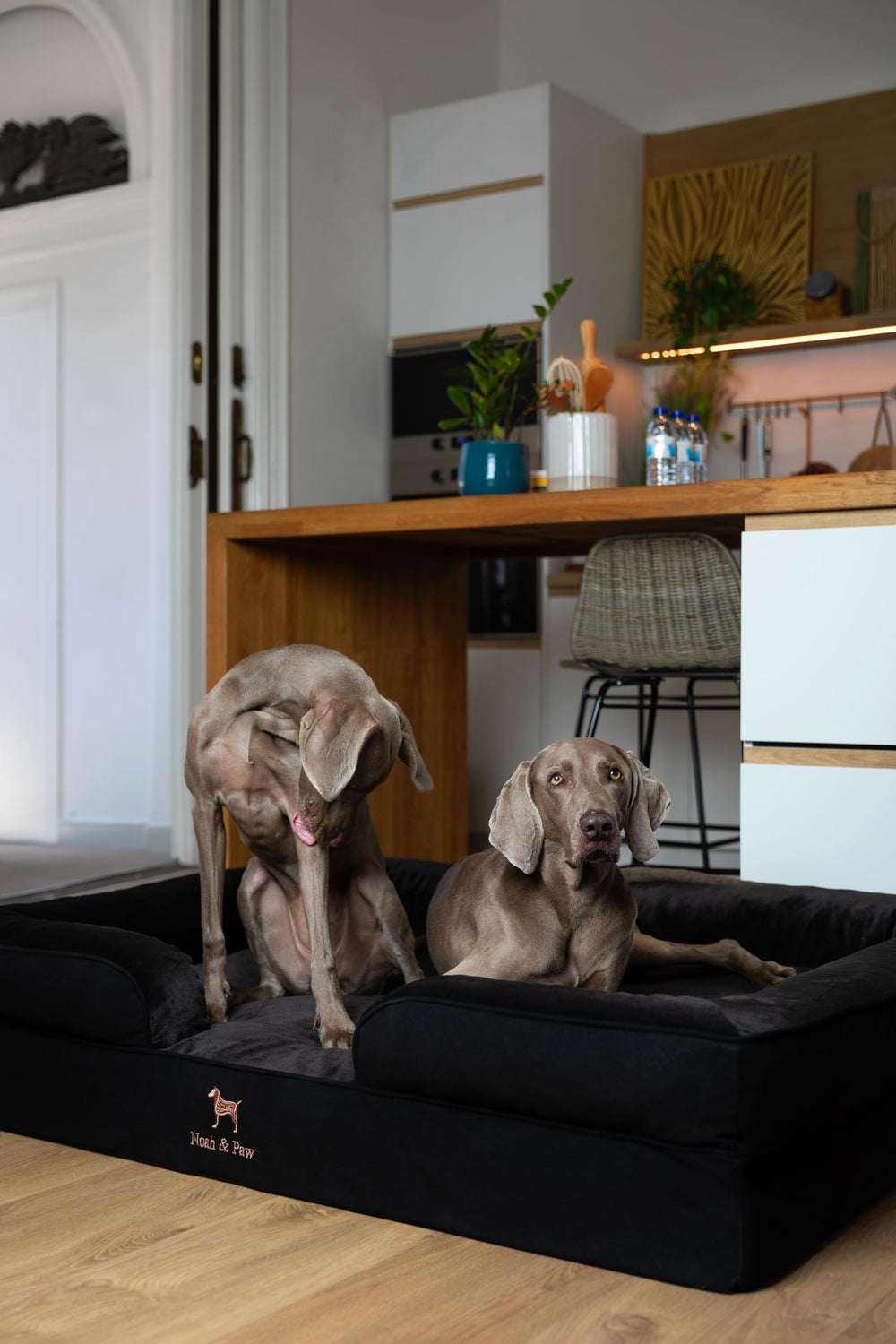 NOAH & PAW Giant Dog Bed XXL dual covers protect furniture and simplify care