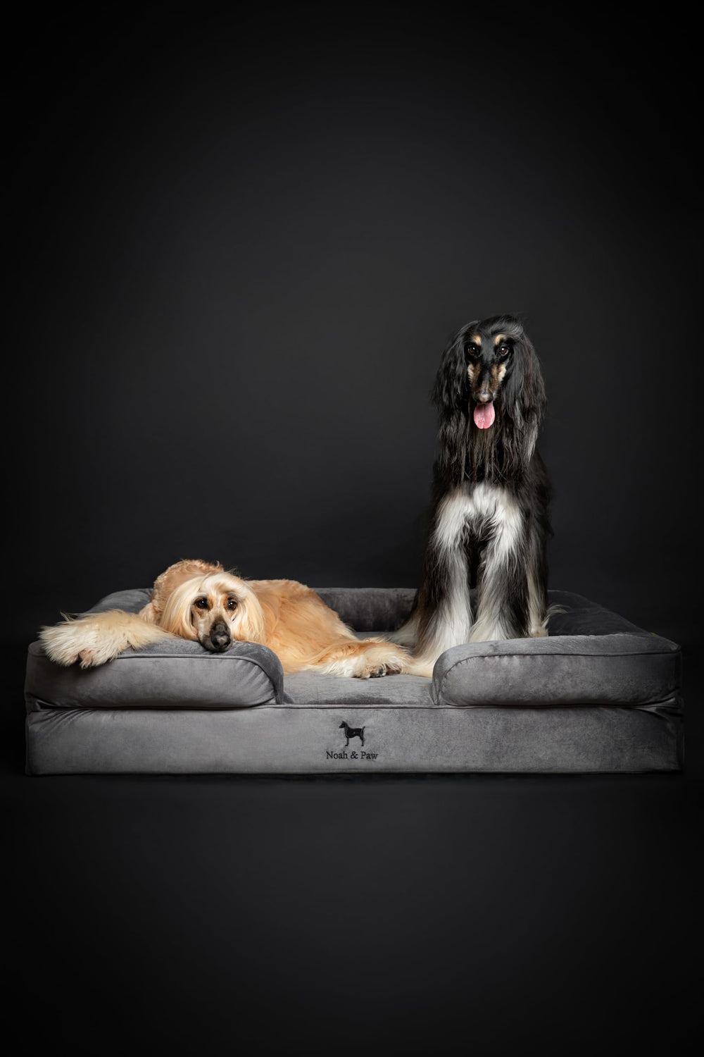 NOAH & PAW Giant Dog Bed XXL foam expansion after unboxing shows quick recovery.