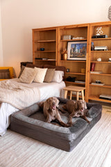 NOAH & PAW Giant Dog Bed XXL memory foam core providing supportive comfort for large dogs.
