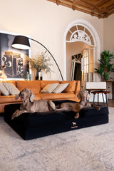 NOAH & PAW Giant Dog Bed XXL memory-foam-core close-up shows premium cushioning
